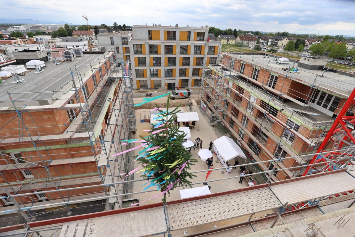 Foto vom Dach des Bauprojekt in Rheinstetten mit Blick auf den Richtbaum und das Richtfest.